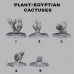 Egyptian Cactuses